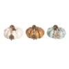 Transpac Set Of 3 Resin Glitz Pumpkins With Tags Fall Harvest Home Decorations For Autumn Thanksgiving 1 Transpac Set Of 3 Resin Glitz Pumpkins With Tags Fall Harvest Home Decorations For Autumn Thanksgiving -Furniture GUEST 1894701e b8bf 48ab 8d2f 1599e14b5cd9