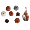 Transpac Velvet Pumpkin Harvest Mix Set Of 5 Decorative White Pumpkin Sculptures For Fall Tabletop Indoor Use 1 Transpac Velvet Pumpkin Harvest Mix Set Of 5 Decorative White Pumpkin Sculptures For Fall Tabletop Indoor Use -Furniture GUEST 48bd861e 8811 456a 821b 89d971d1a2bc