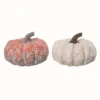 Transpac Resin Short Pastel Pumpkin Decor Set Of 2 Fall Harvest Home Decorations For Autumn Thanksgiving 2 Transpac Resin Short Pastel Pumpkin Decor Set Of 2 Fall Harvest Home Decorations For Autumn Thanksgiving -Furniture GUEST 98e34051 567b 4a5b ba98 4786bfdf9709
