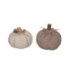 Transpac Plush Harvest Pumpkin Decor Set Of 2 Fall Home Decorations For Autumn Thanksgiving Polyester Decorative Objects 2 Transpac Plush Harvest Pumpkin Decor Set Of 2 Fall Home Decorations For Autumn Thanksgiving Polyester Decorative Objects -Furniture GUEST b9fa5655 5149 498a 85af 7fedd2153bce